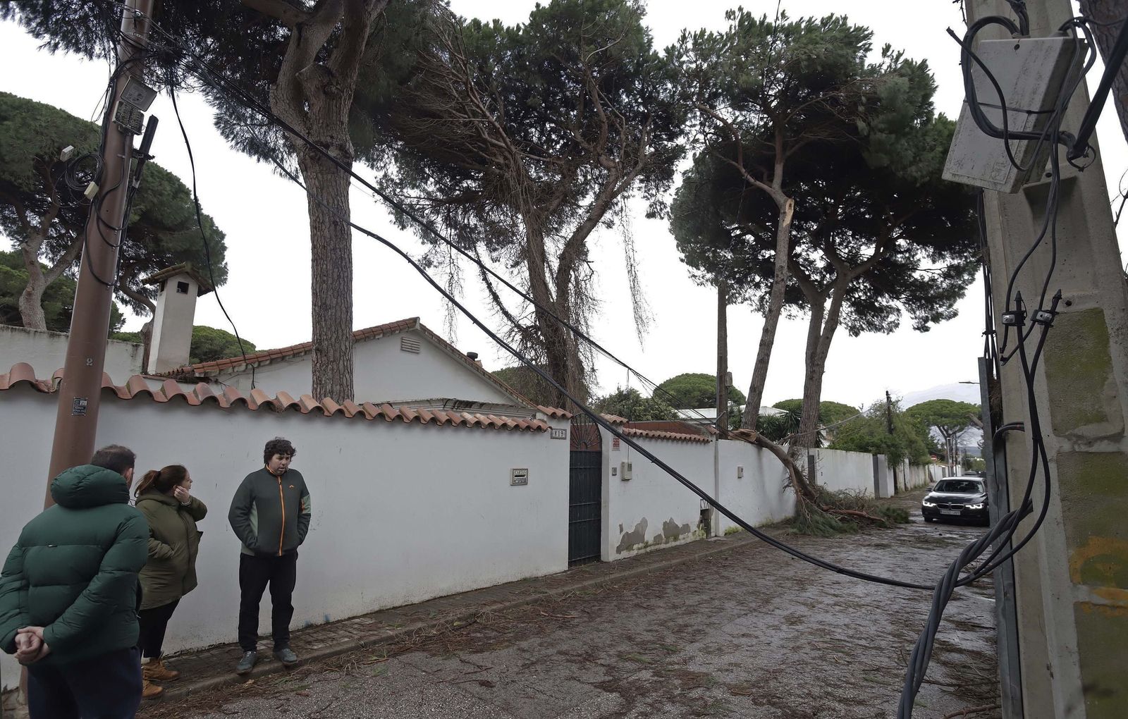 24 horas sin electricidad en la urbanización Los Pinos por árboles caídos tras la borrasca Kristin, en imágenes