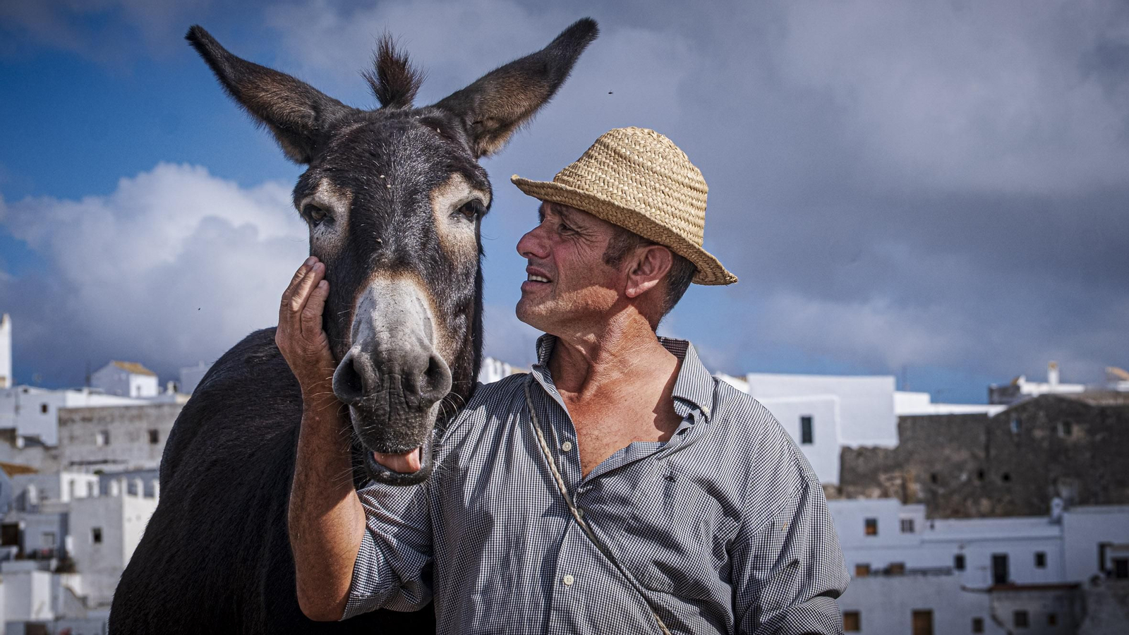 Juanino, el defensor de la nobleza del burro desde Vejer
