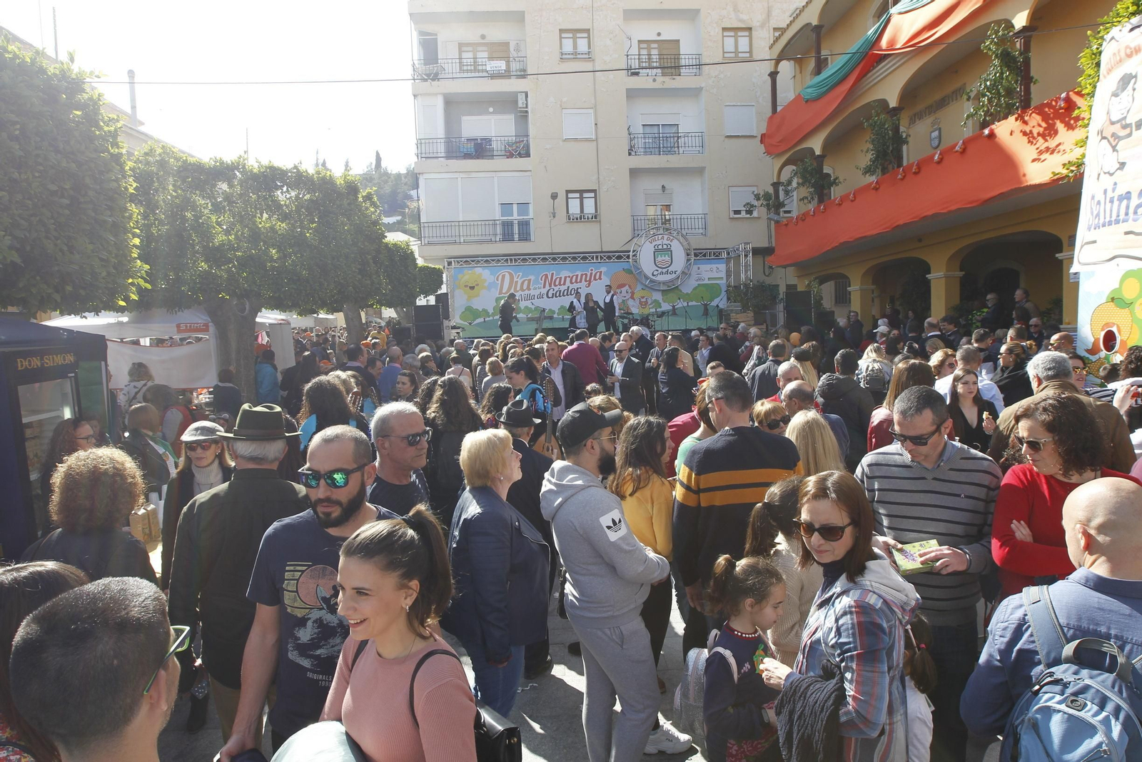 Fotogalería Día de la Naranja en Gádor