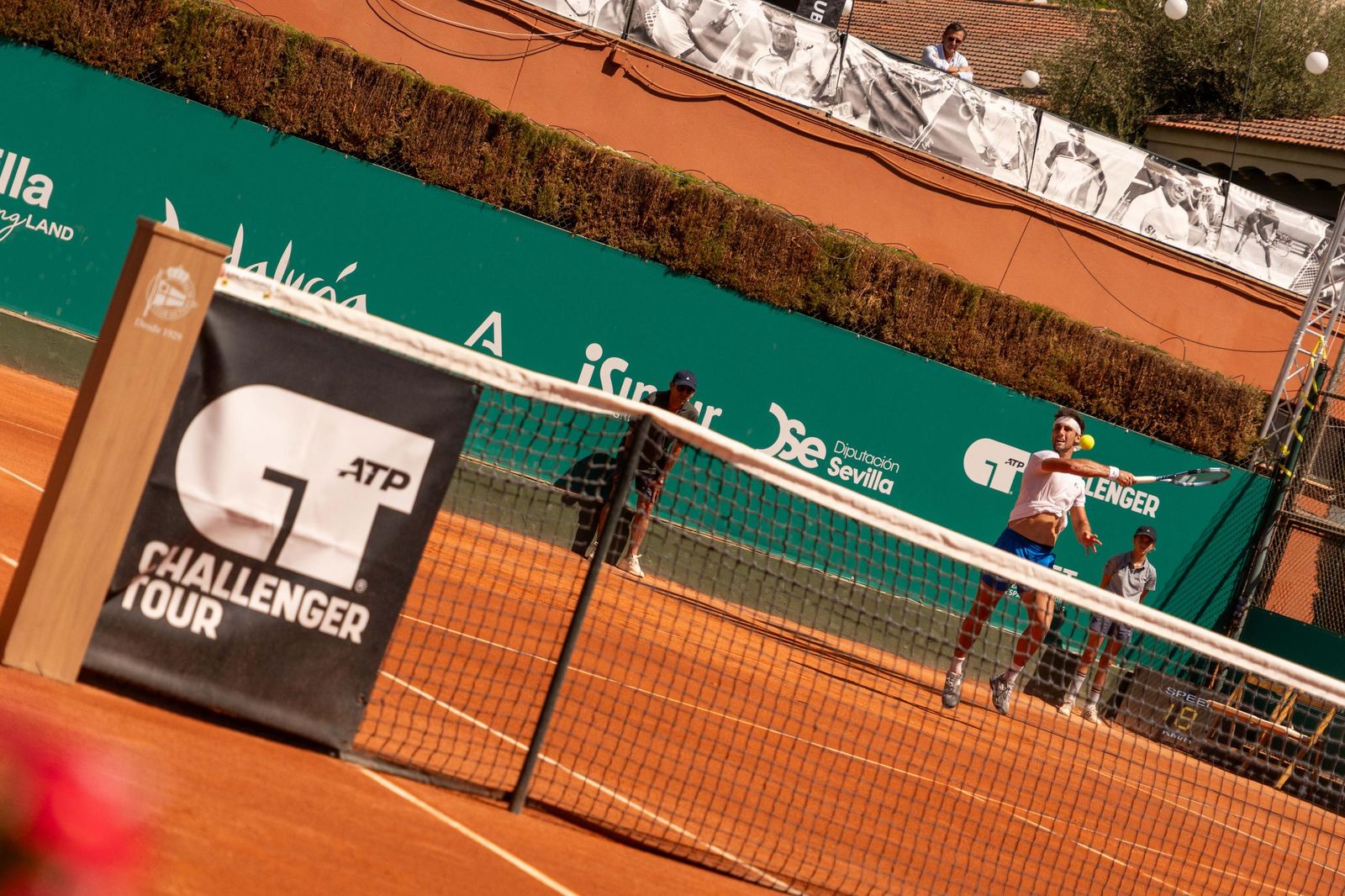 Buse - Taberner (11).jpg