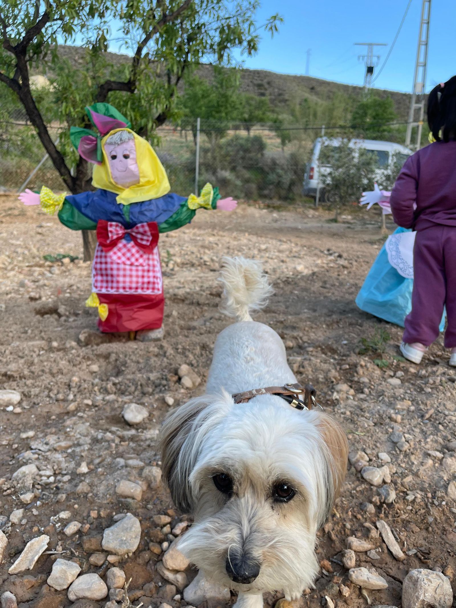 Así se ha vivido el Día de la Vieja en la comarca del Levante