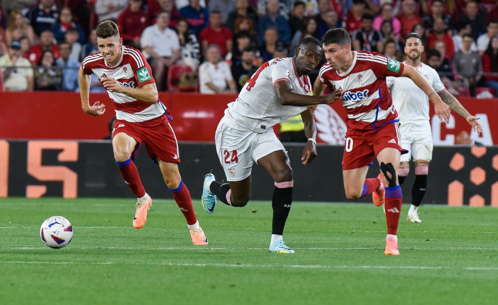 Las imágenes del Sevilla FC - Granada CF