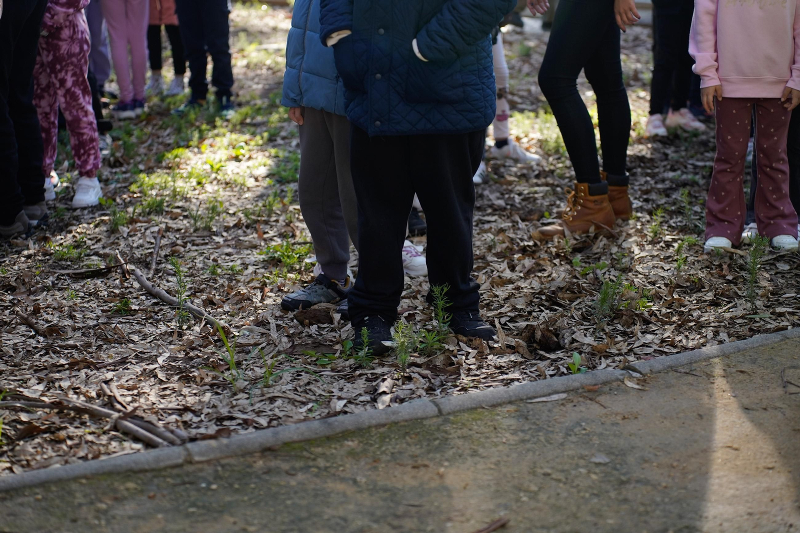 Las fotos del simulacro de maremoto en el colegio Virgen del Mar en Algeciras