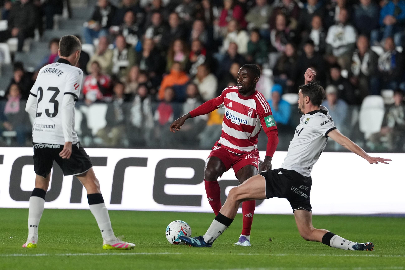 Hongla trata de buscar a un compañero.