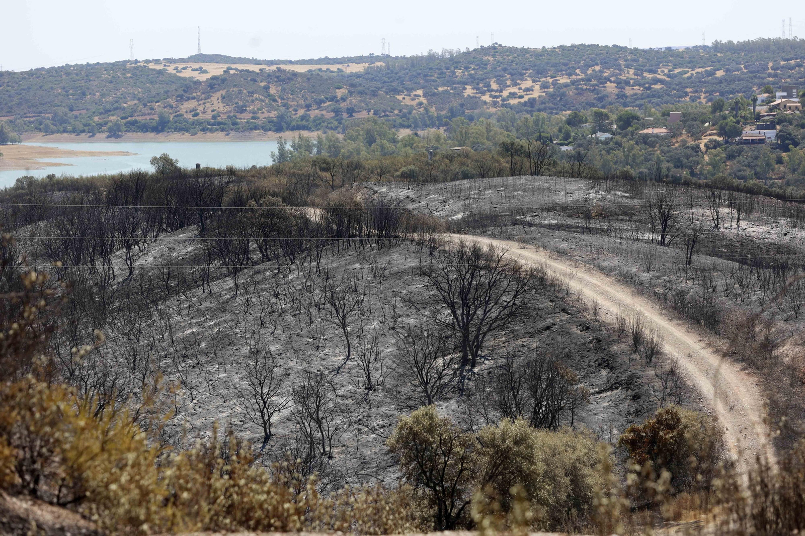Los efectos del incendio en el Ronquillo en imágenes