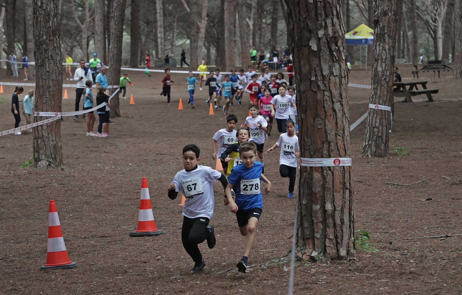 Búscate en el V Cross Pinar del Rey en San Roque