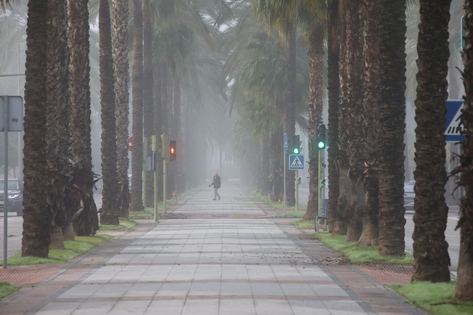 Densa niebla en Jerez