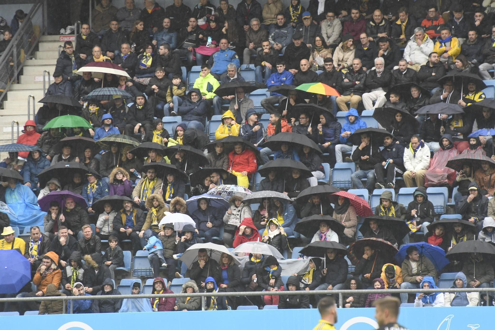 Las imágenes del Cádiz CF- Reus