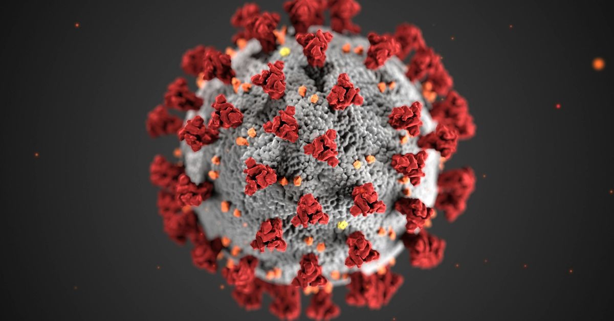 Rotavirus: qué es, cómo afecta y cuánto dura
