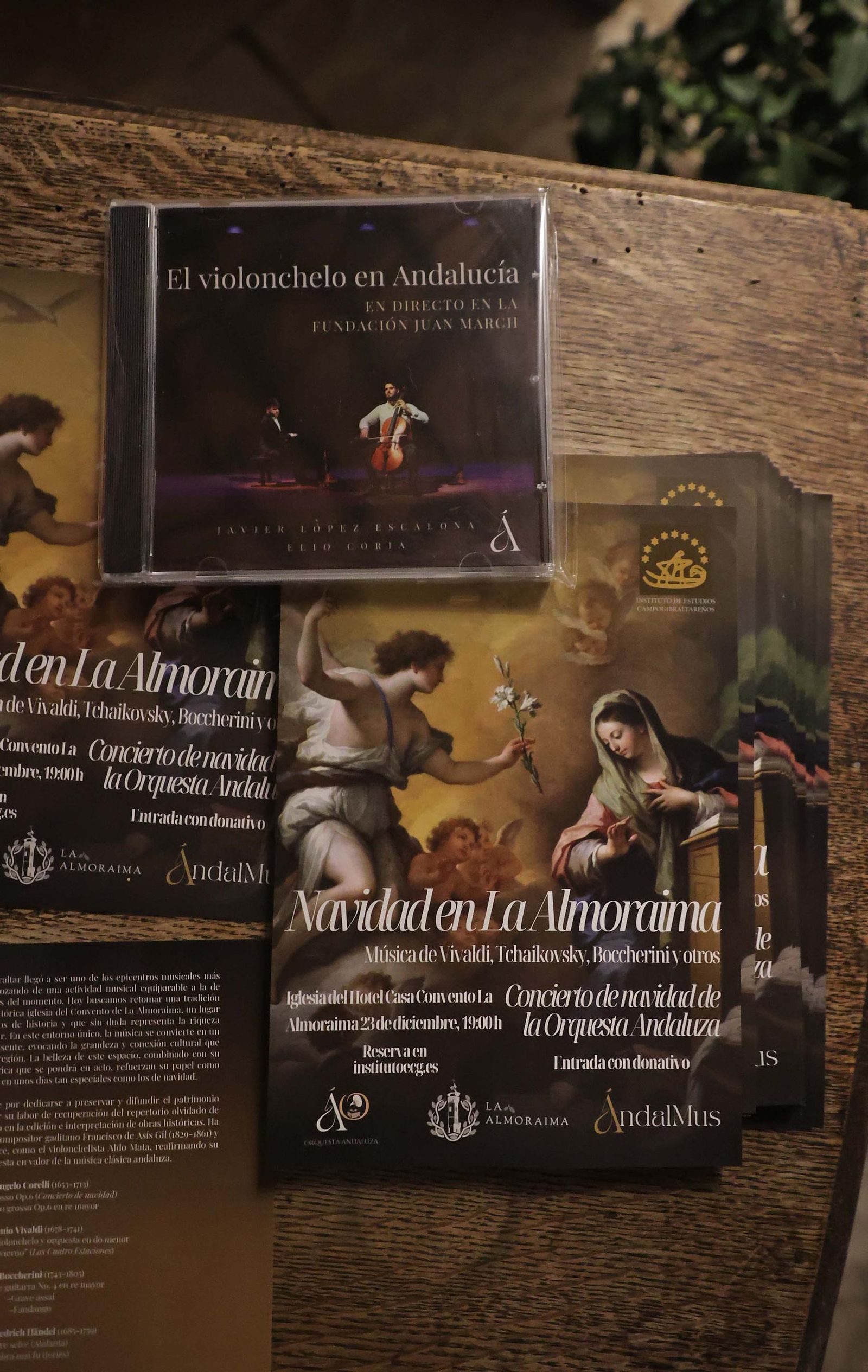 Fotos del concierto de Navidad de la Orquesta Andaluza en Castella