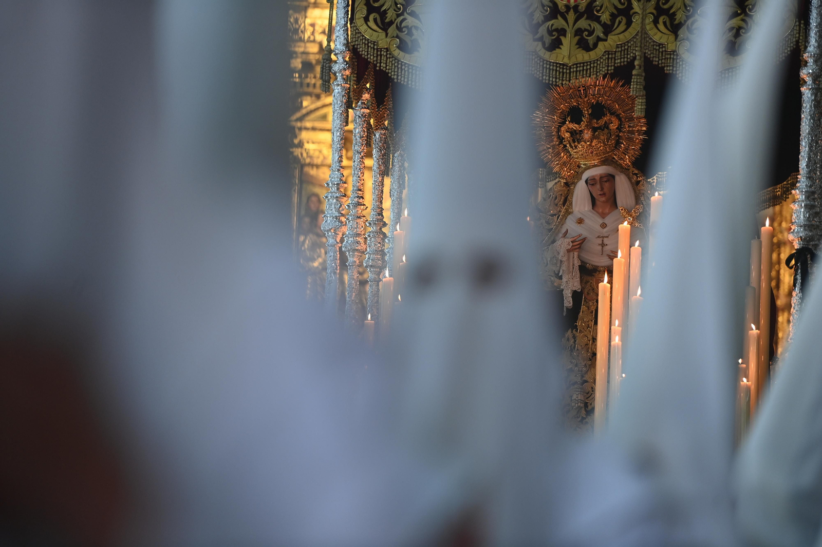 Humildad en su procesión del Domingo de Ramos de Málaga, en fotos