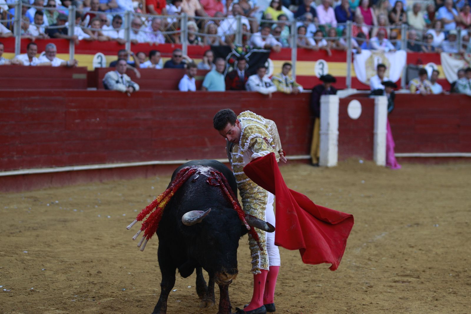 Imágenes de la corrida de toros del jueves en la Feria de Almería 2024