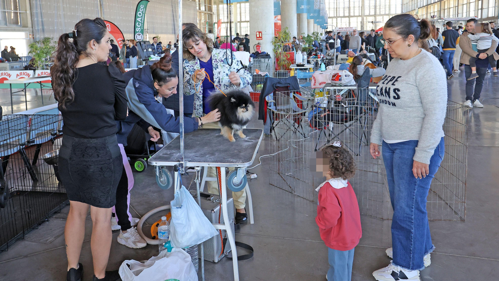 Imágenes de la 49ª edición de la Exposición Nacional Canina y la 25ª edición de la Exposición Internacional Canina en IFECA Jerez