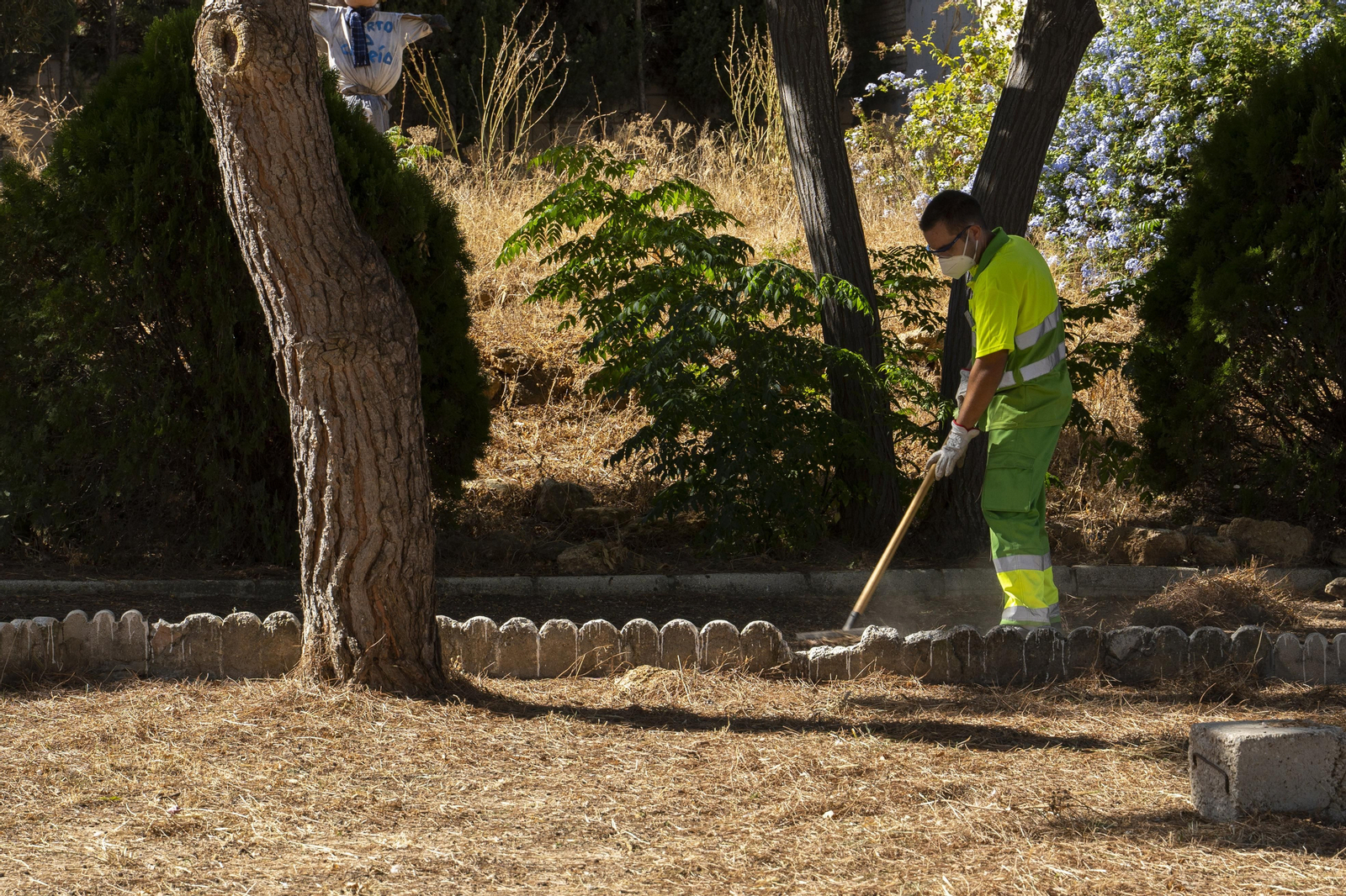 Trabajos de desbroce y limpieza de zonas verdes en un centro educativo. Trabajos de desbroce y limpieza de zonas verdes en un centro educativo.