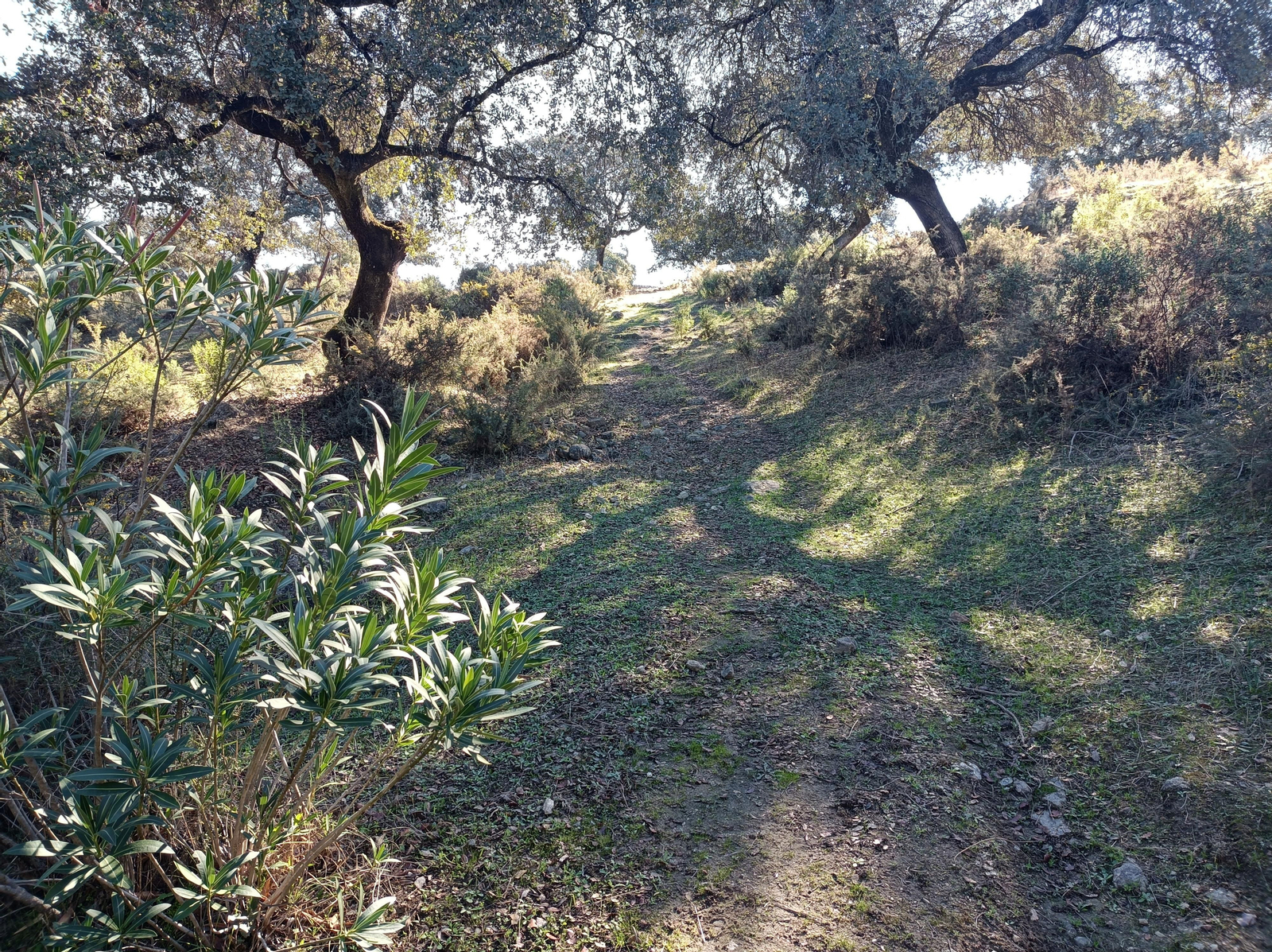 Ruta de Las Cañadillas