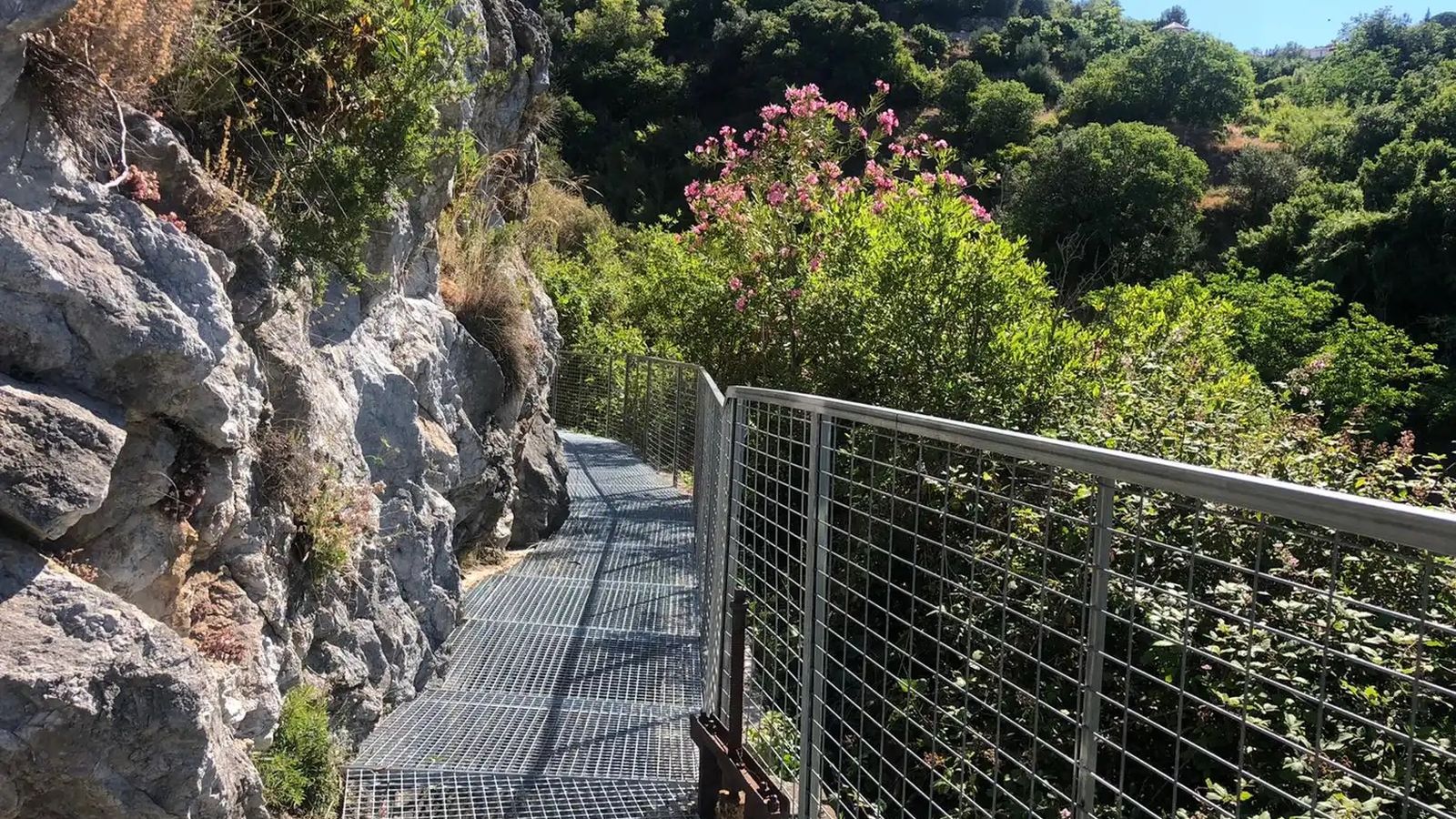 El verde rodea a las pasarelas.