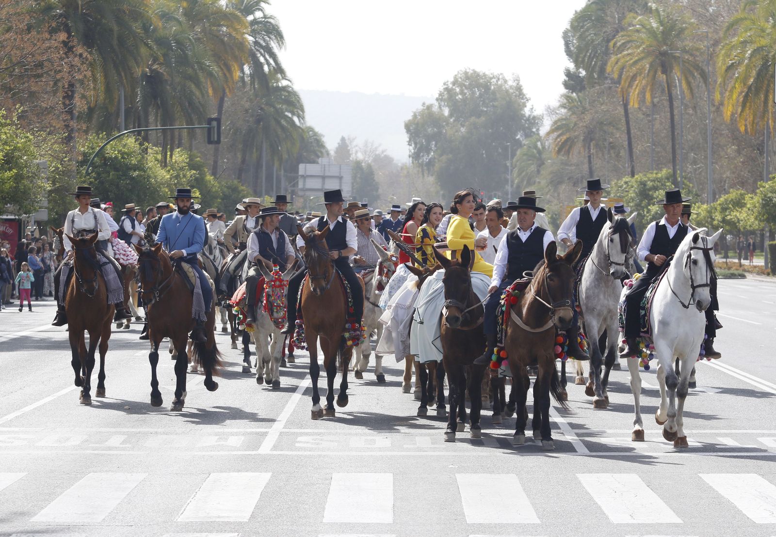 Marcha hípica por el Día de Andalucía en Córdoba.