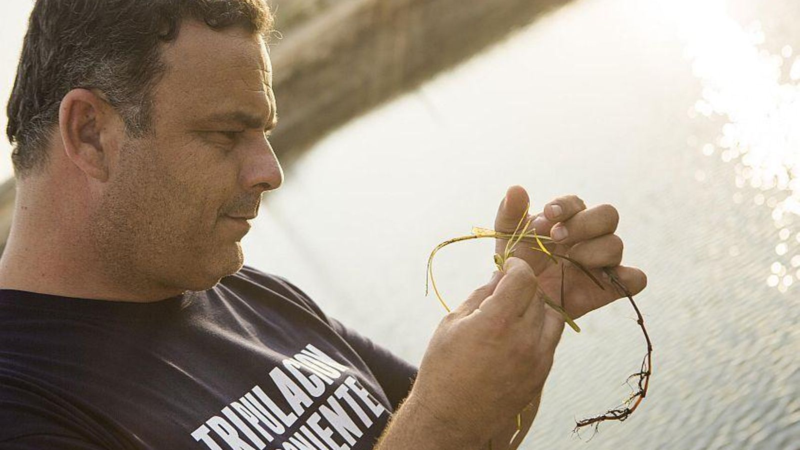 Angel Leon con la zostera