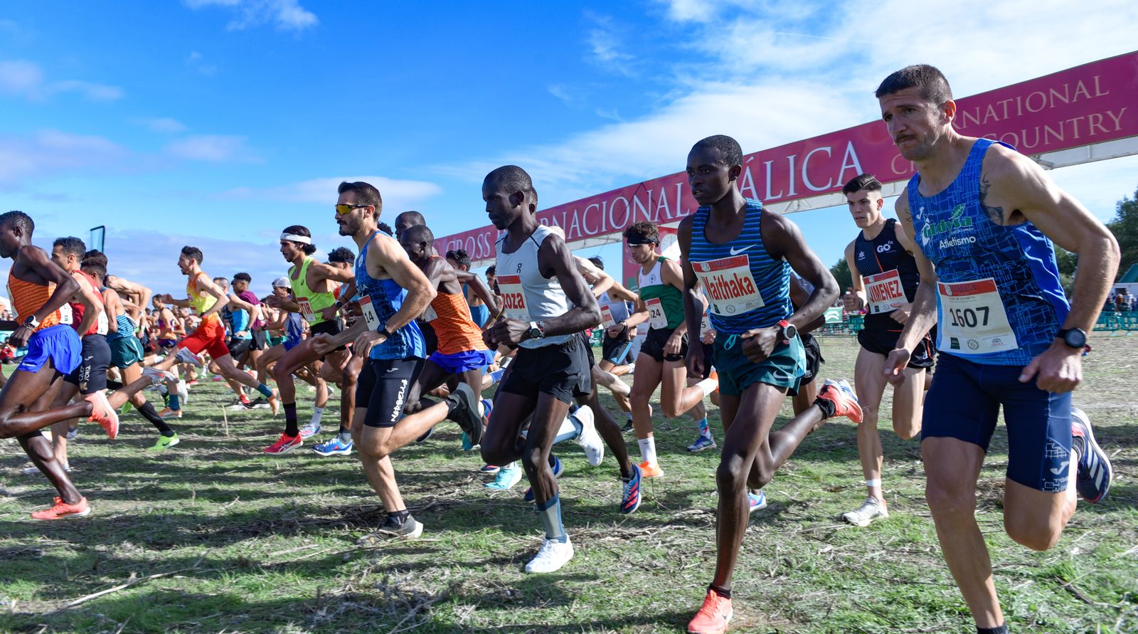 Las imágenes del Cross Internacional Itálica 2022