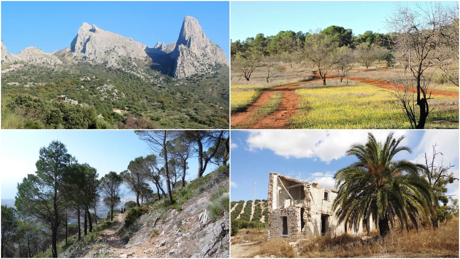 Paisajes de las diferentes rutas de senderismo.