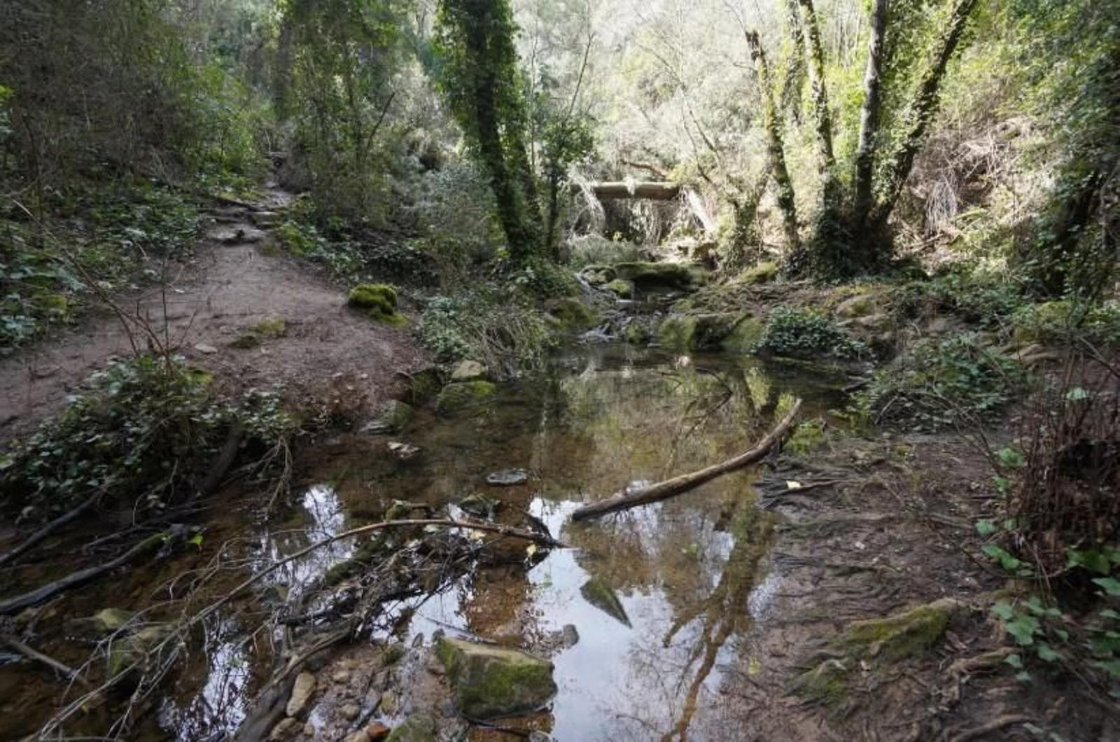 Entorno de los Baños de Popea.