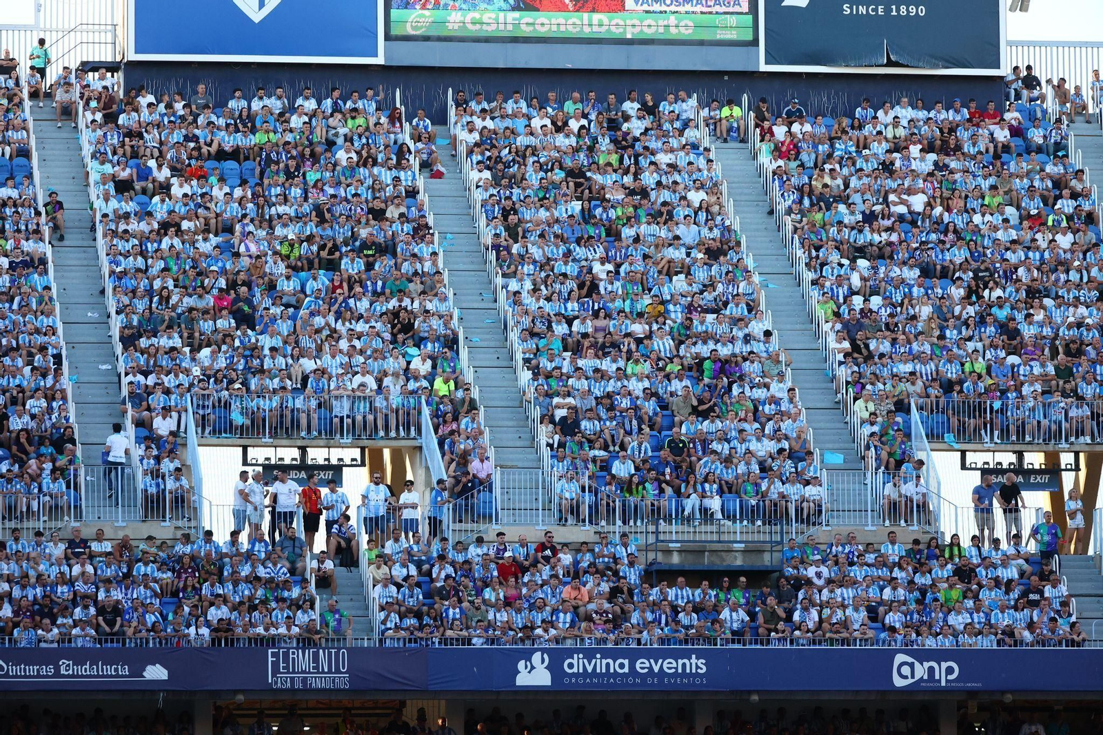 Búscate en el Málaga CF - Nàstic en La Rosaleda