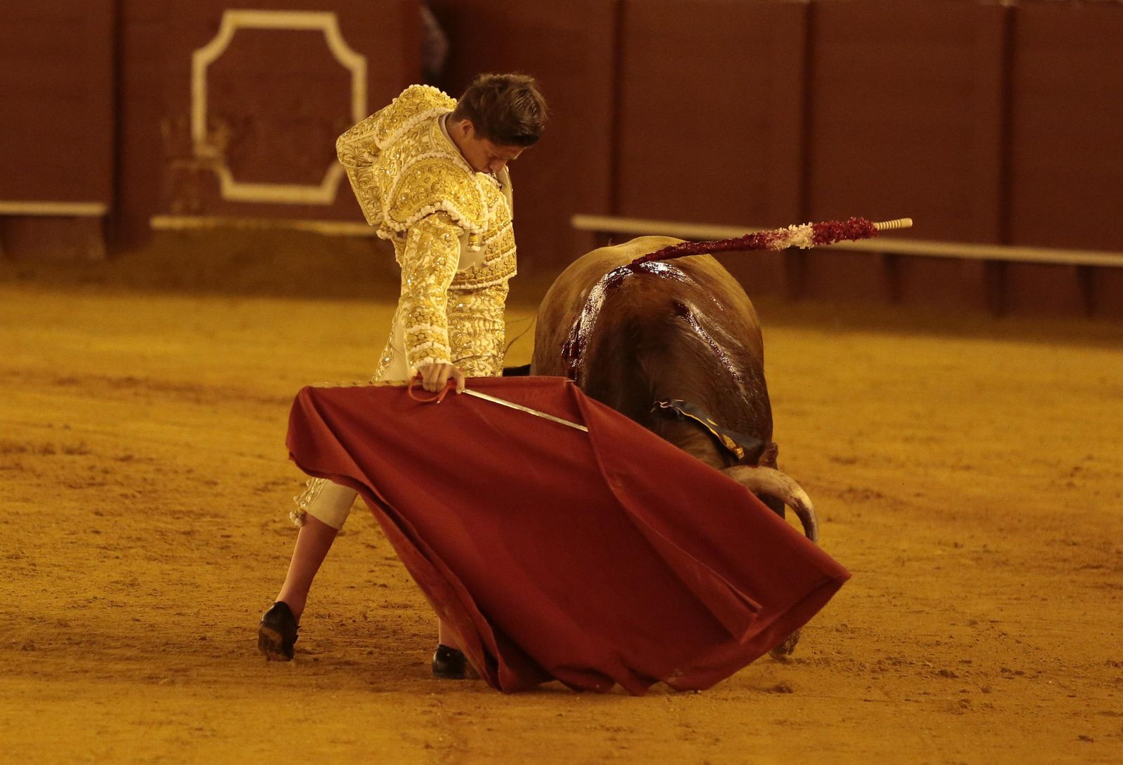 Las imágenes de la primera novillada de promoción en La Maestranza