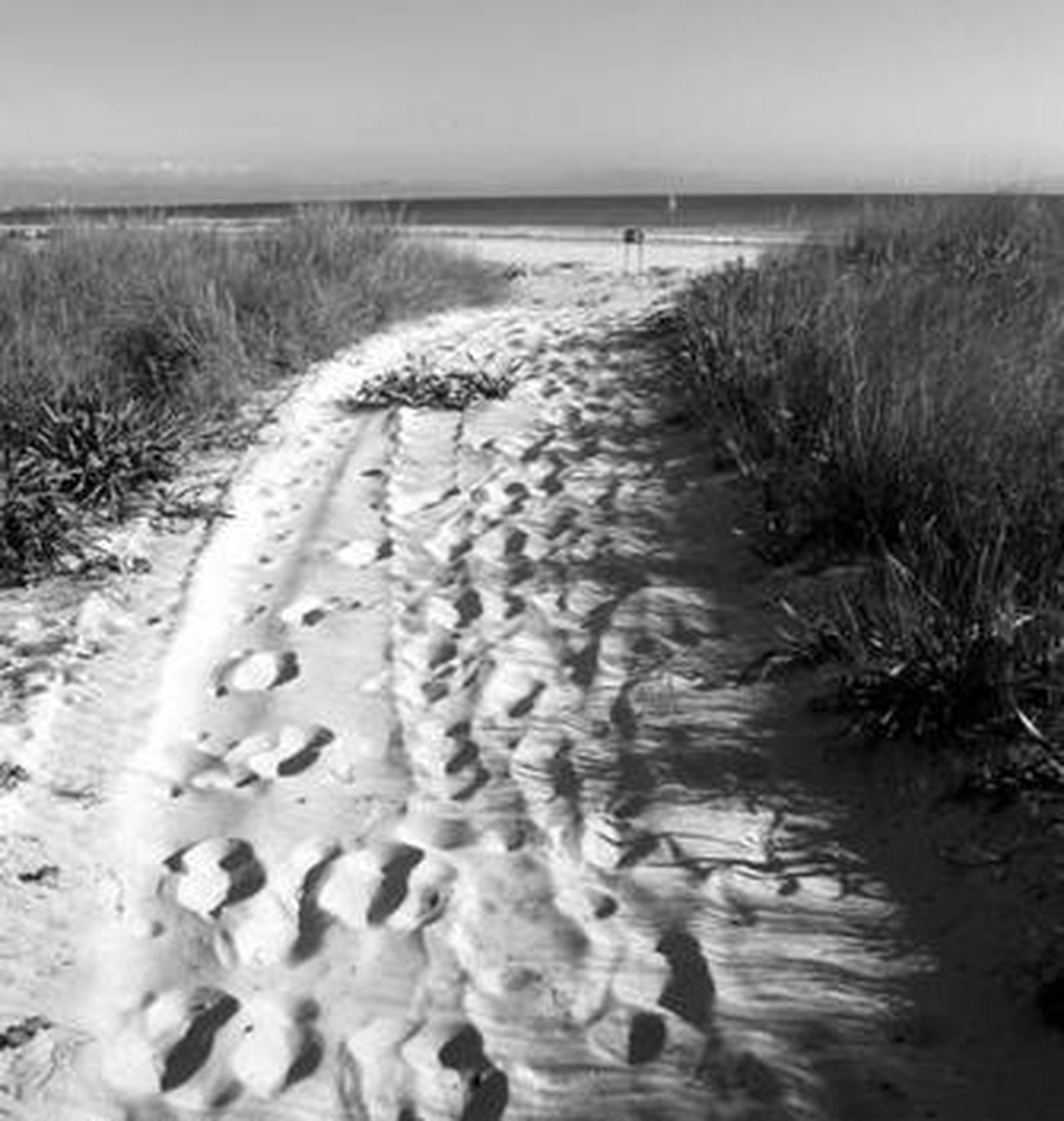 Uno de los caminos públicos del litoral tarifeño.