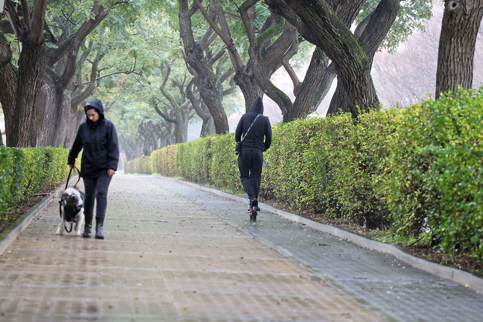 Las imágenes más destacadas del sábado 25 de enero en Huelva