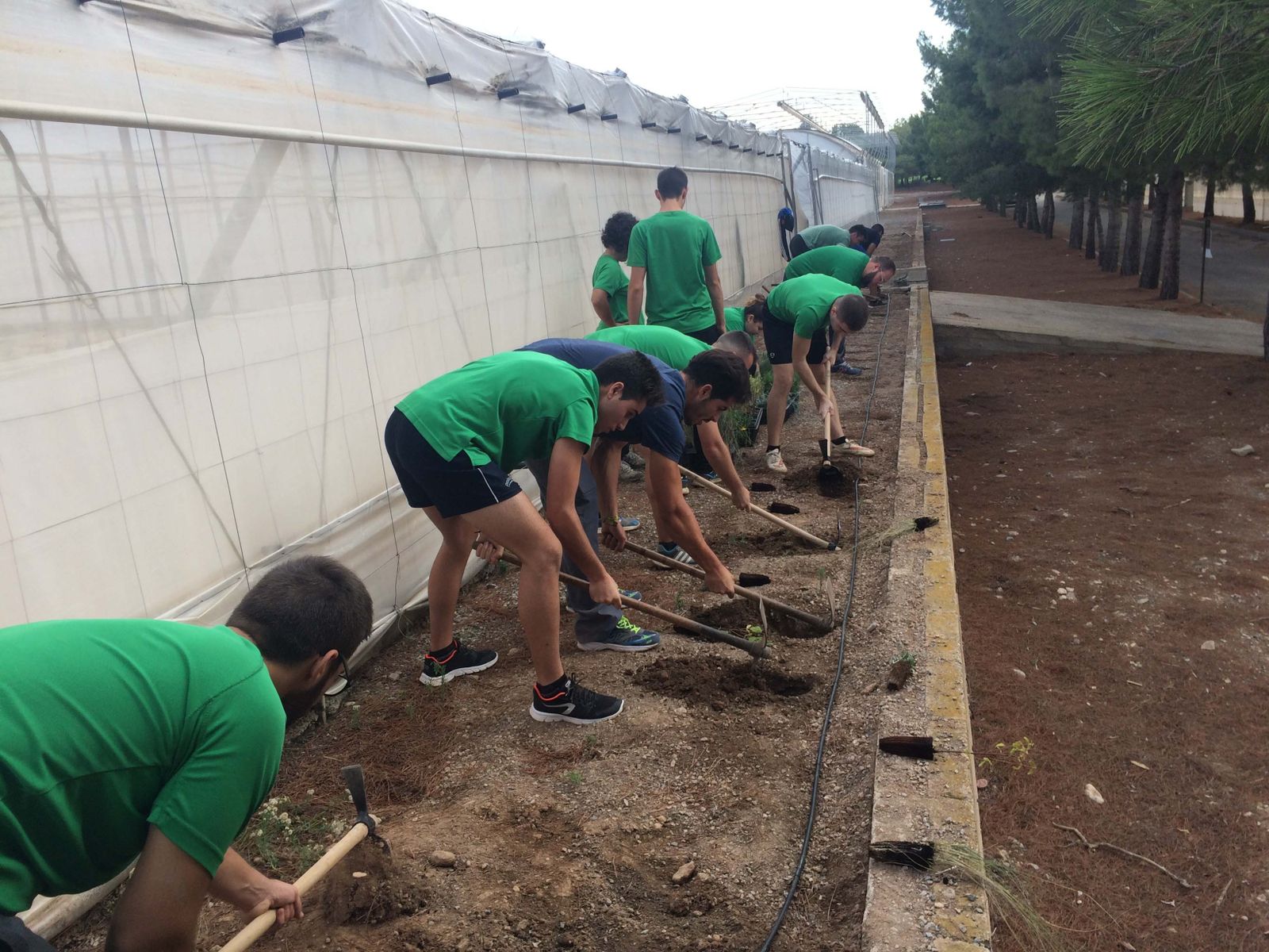 Alumnos de la Escuela Agraria de Vícar durante la implantación de setos y "hoteles" de insectos en el exterior de los invernaderos para que sirvan de refugio a la fauna depredadora de plagas.