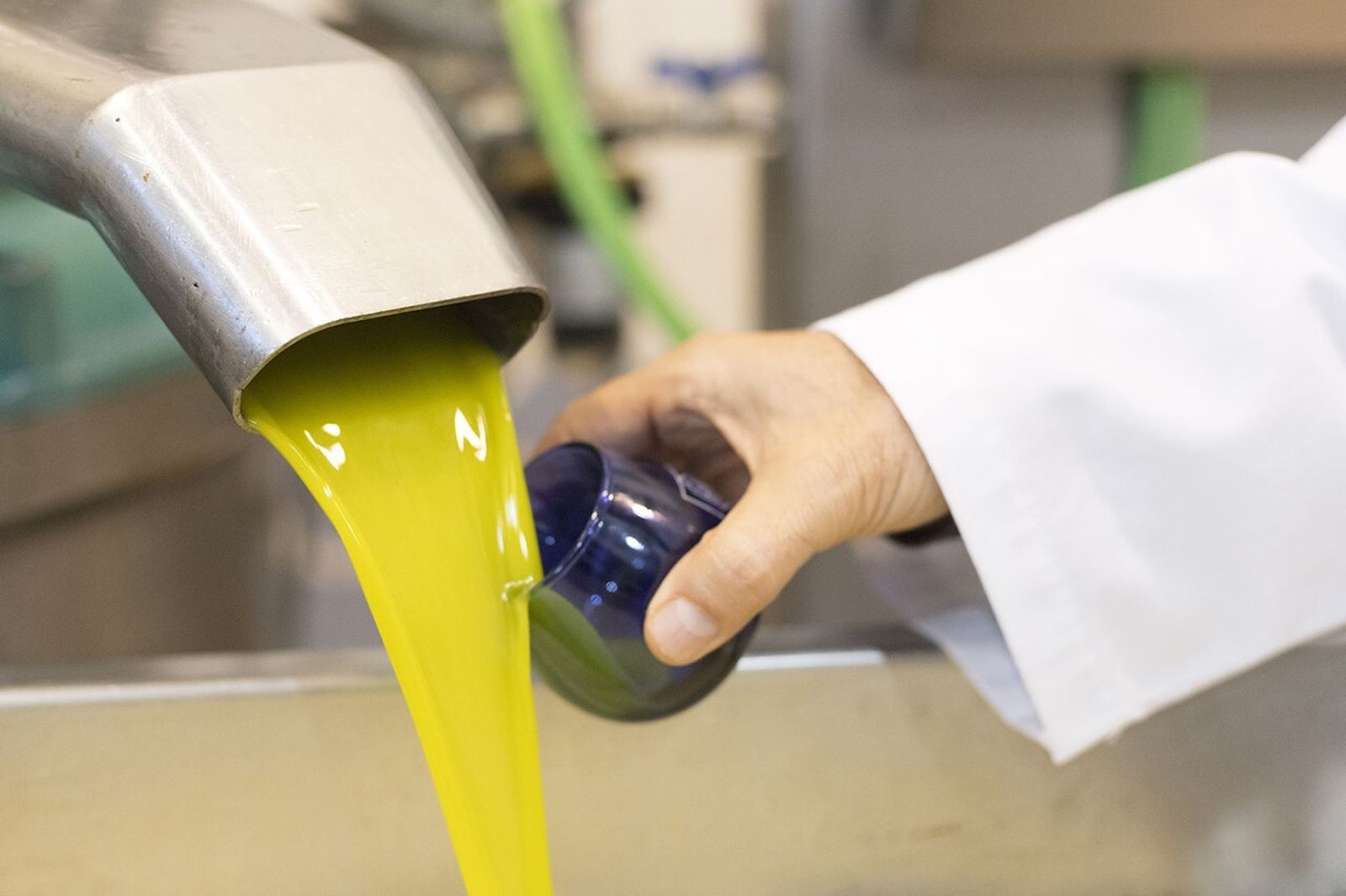 Aceite de oliva virgen extra de Castillo de Tabernas