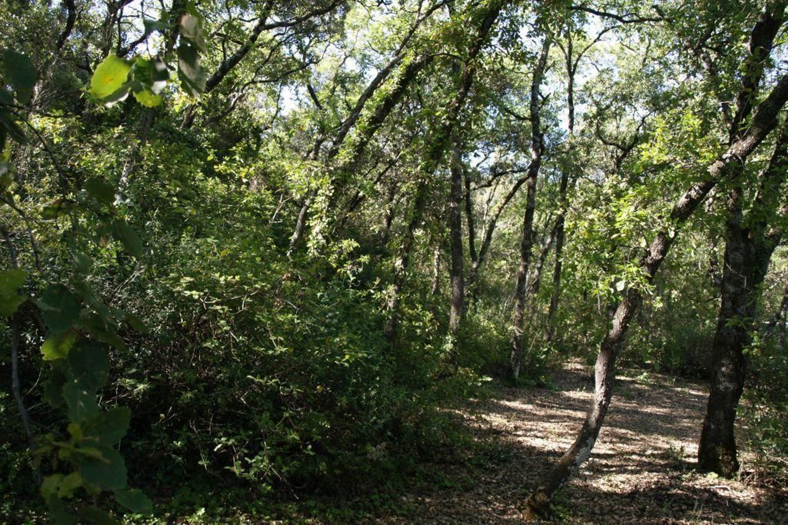 Estos son los siete maravillosos Monumentos Naturales de Jaén.