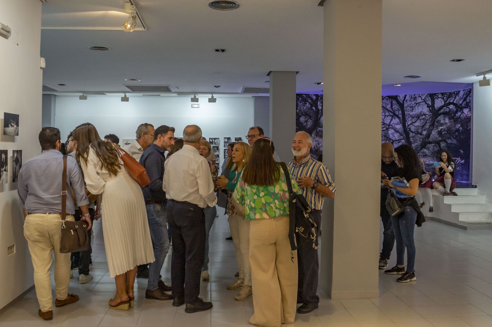 Inauguración de la exposición "El sabor de las Matemáticas".