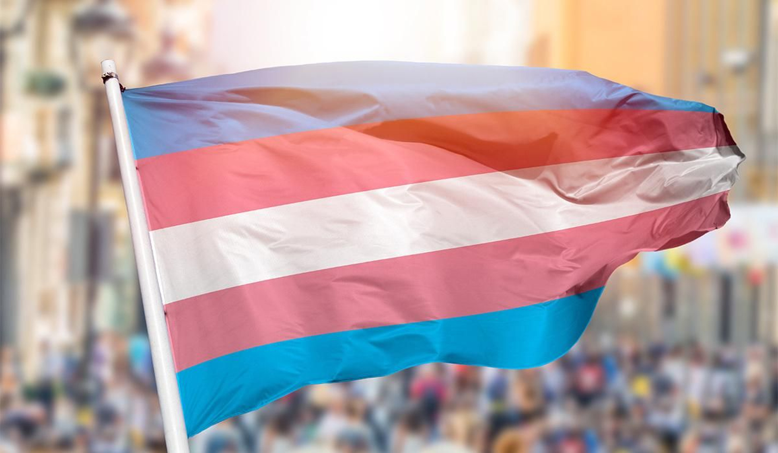 La bandera del orgullo trans