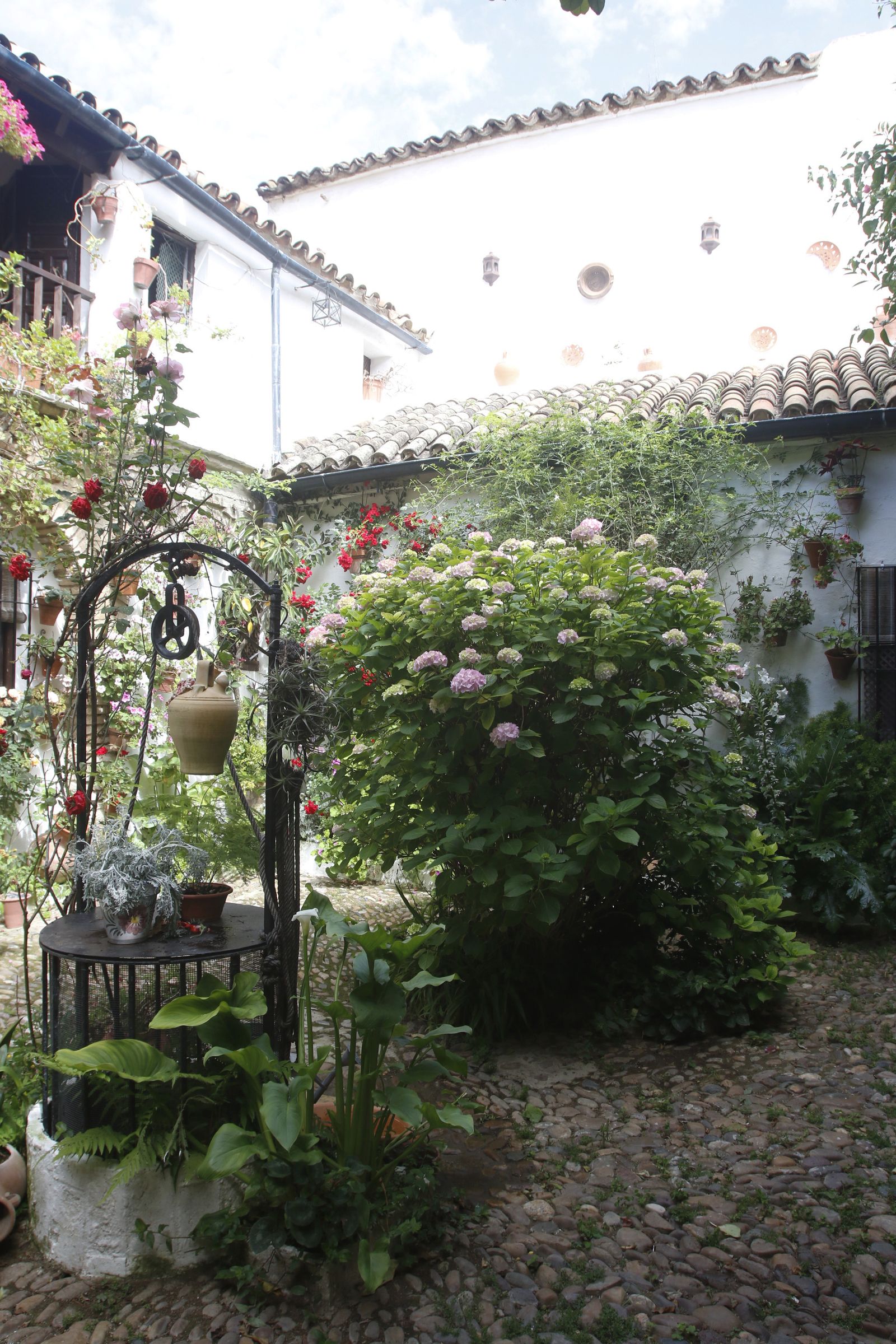 Los Patios de Córdoba en tiempos de crisis: Parras, 6