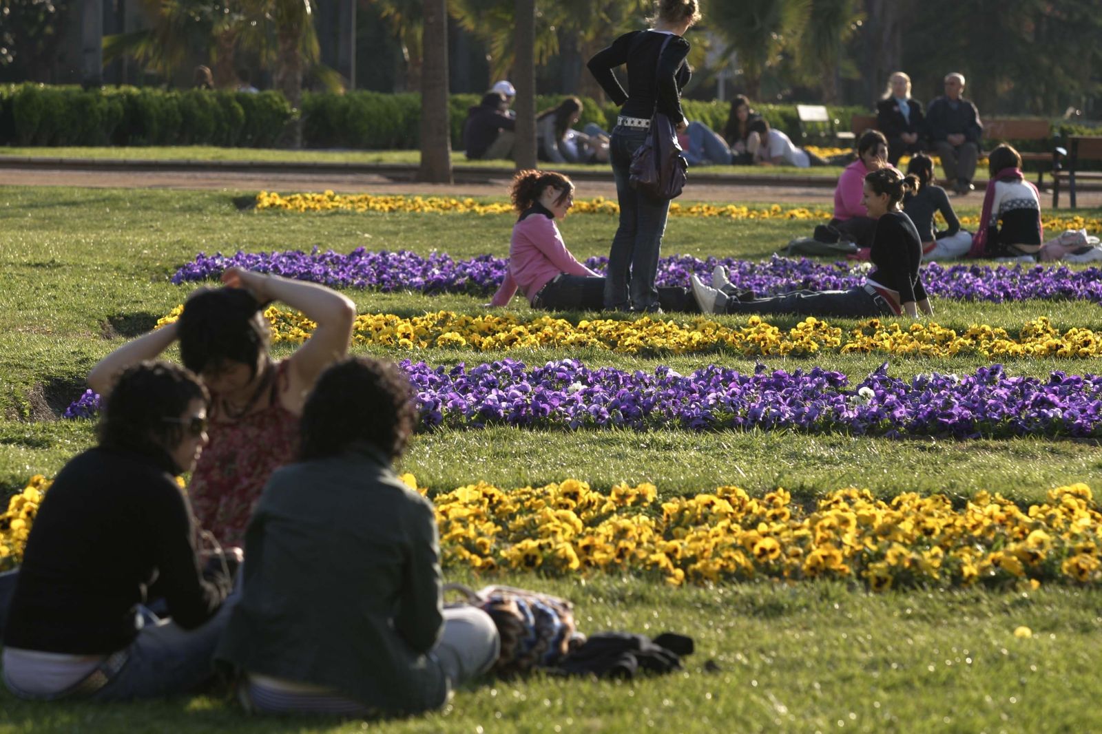 El número de  jóvenes entre 18 y 30 años que no tienen ocupación ni están estudiando ha disminuido en el último año.