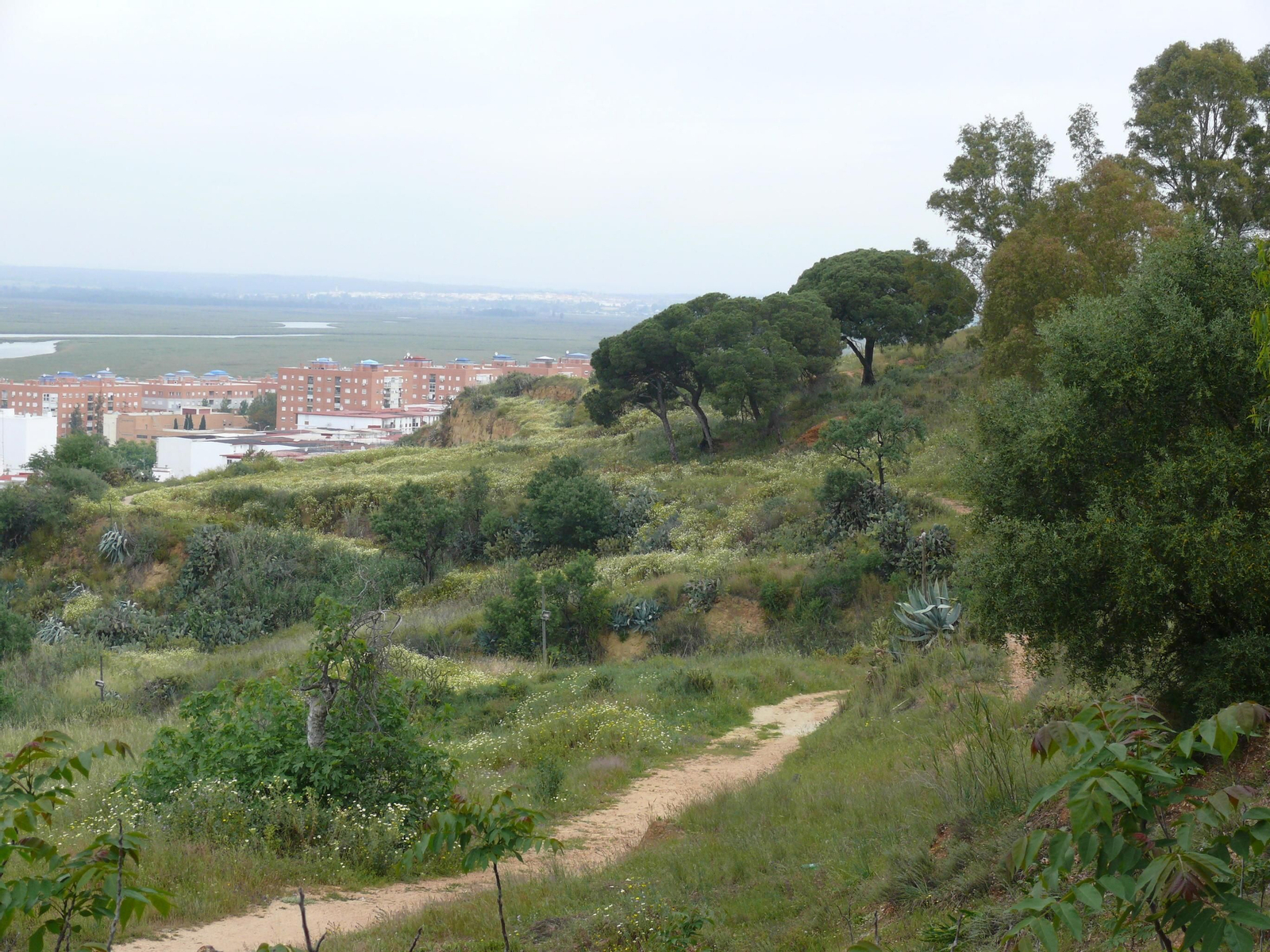 En las laderas hay que actuar para evitar su degradación con el cuidado de no destruir la belleza misma del propio cabezo. En las laderas hay que actuar para evitar su degradación con el cuidado de no destruir la belleza misma del propio cabezo.