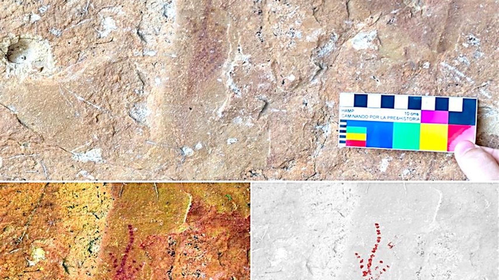 Panel B, con una figura formada por agrupación de puntos.