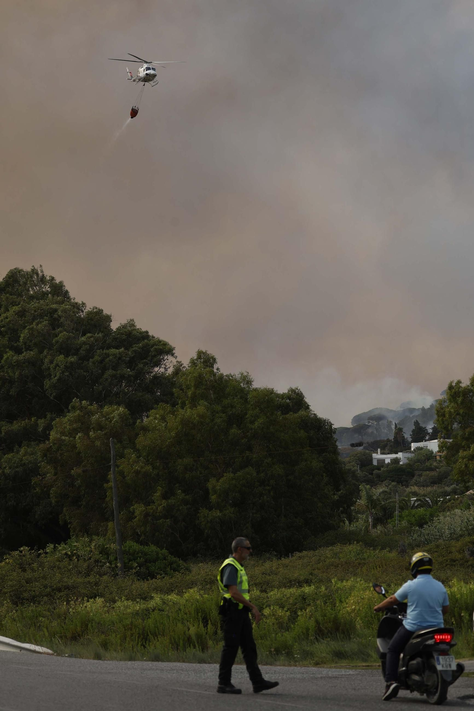 Las fotos del incendio forestal entre la Torre y Valdevaqueros en Tarifa