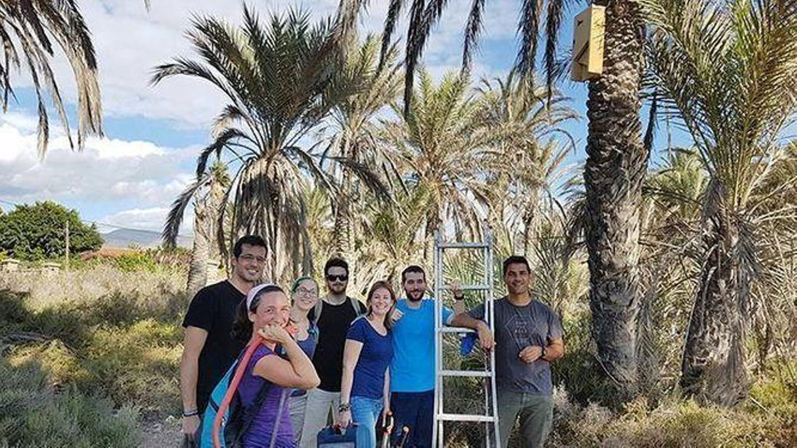 Instalación de nidos para aves insectívoras, que ayudan contra los mosquitos