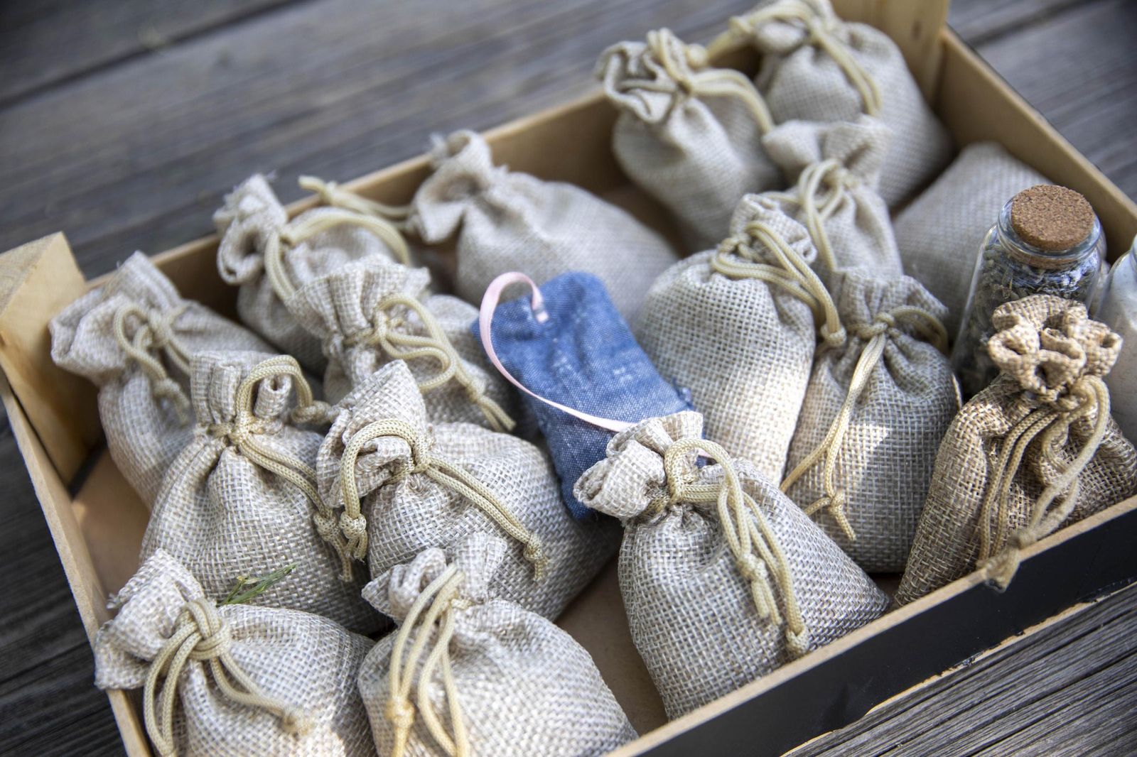El jardin de lavandas en Benecid