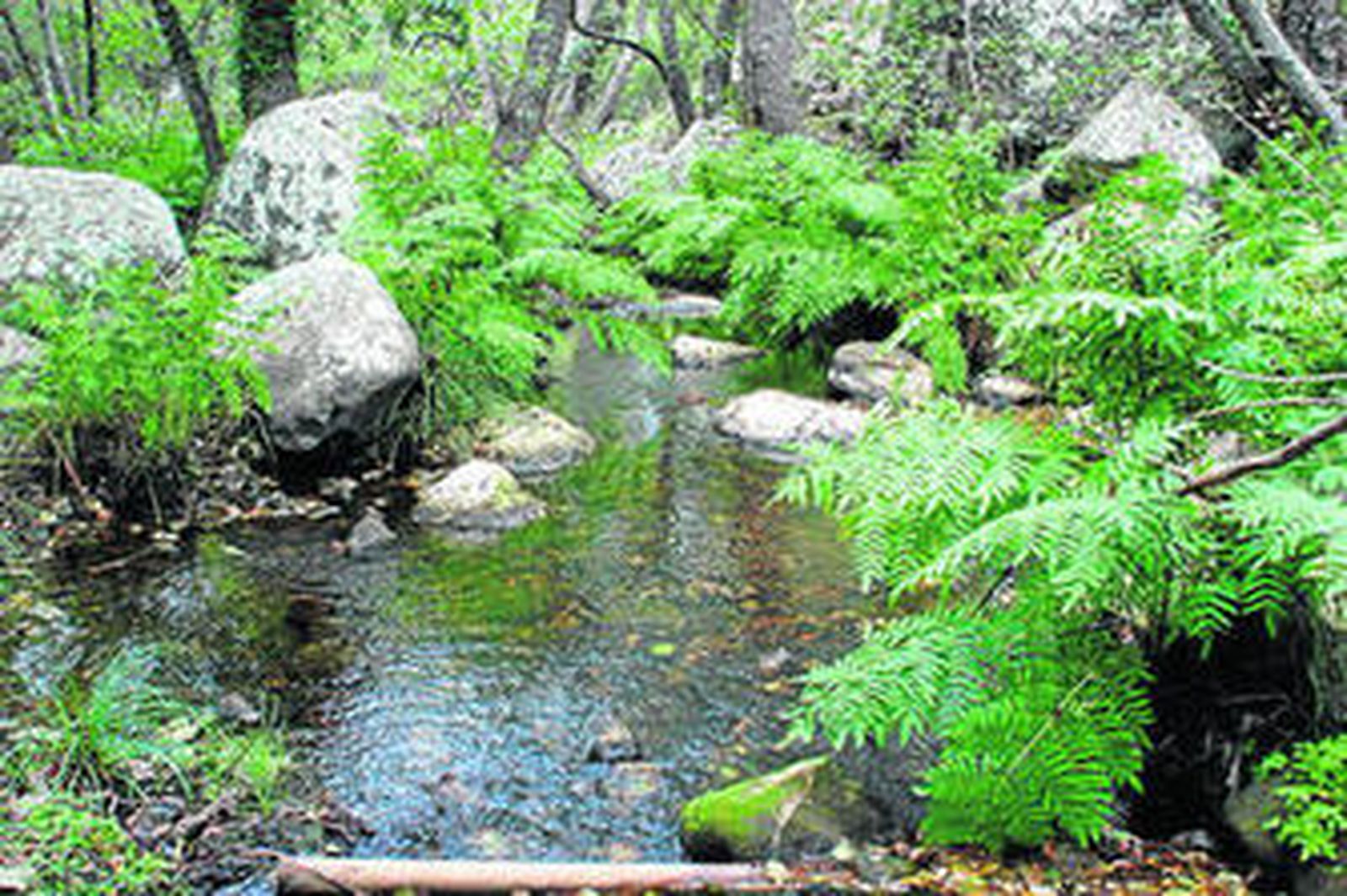 Imagen de uno de los enclaves que recorre el trazado.