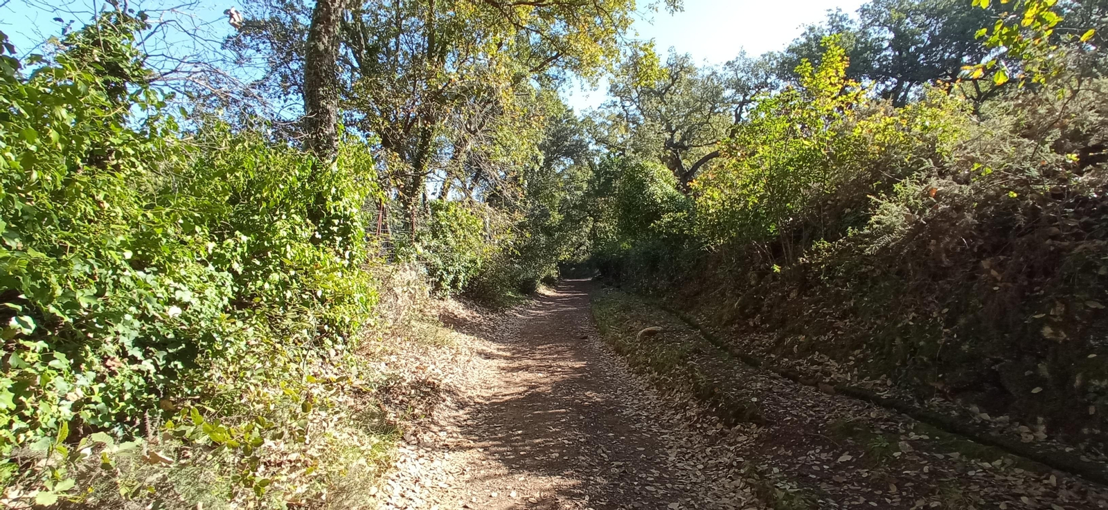 Las imágenes de la ruta de la cascada de Jollarancos y bosque de las letras
