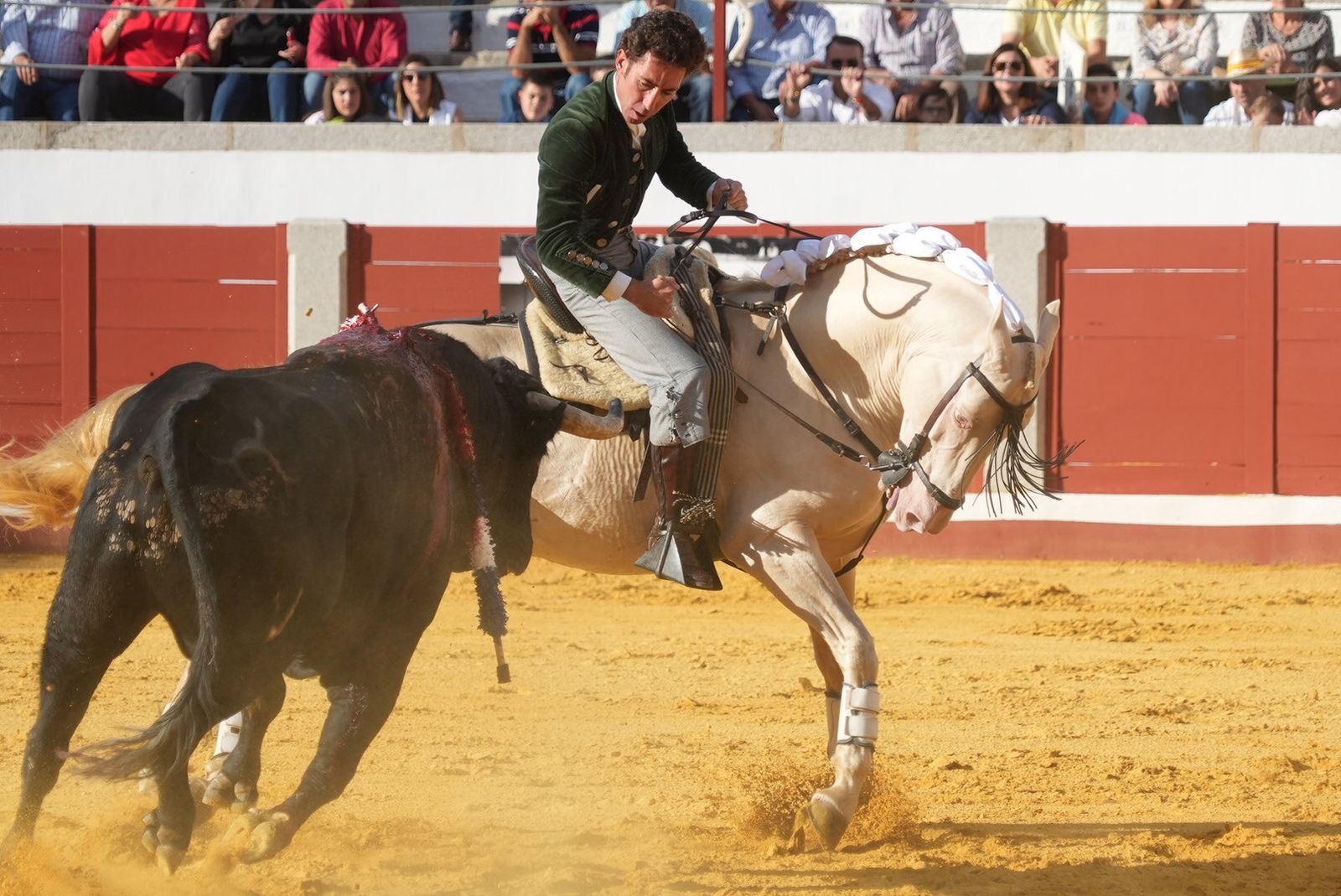 El triunfo del rejoneador Guillermo Hermoso de Mendoza en Pozoblanco, en imágenes