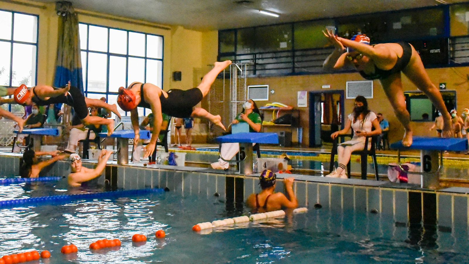 Las fotos del XVII trofeo de natación Día de Andalucía