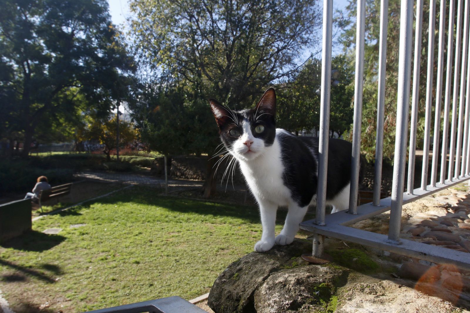 El otoño en Córdoba, en fotografías