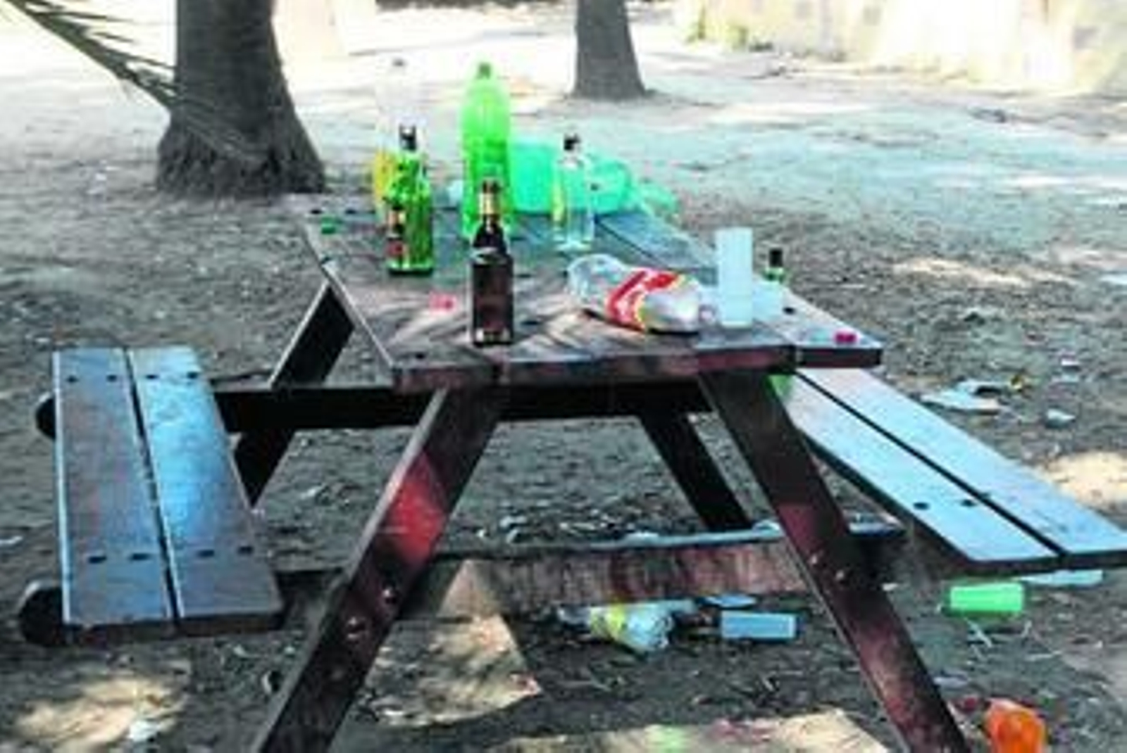 Los restos de la botellona