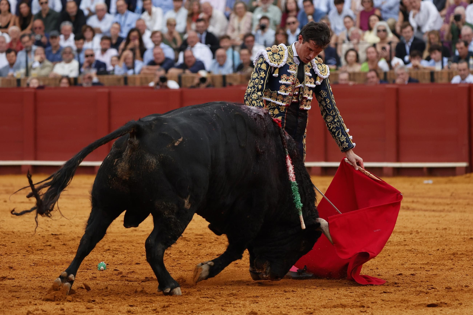Las imágenes del festejo
