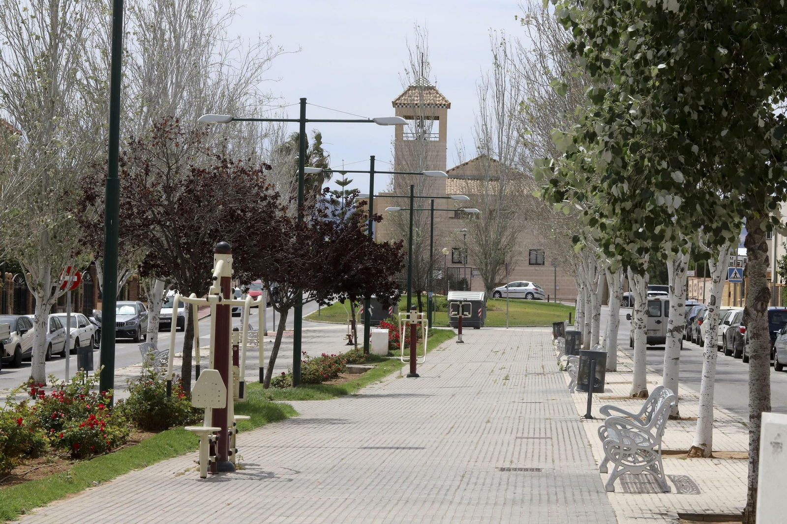 Campanillas en fotos