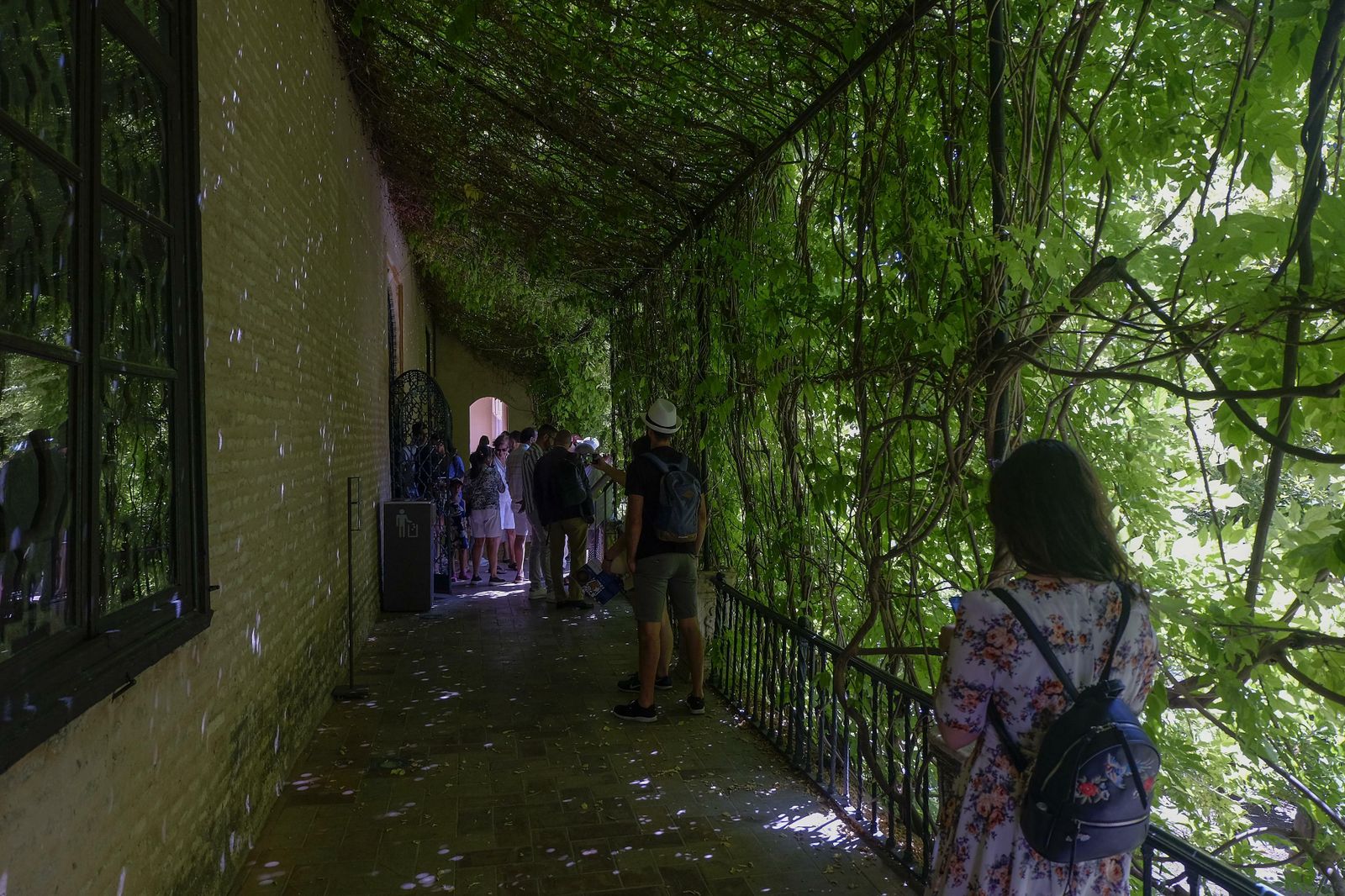 Fotos del Real Alcázar de Sevilla